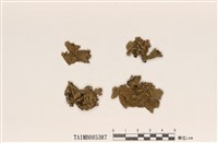 藏品(瓦氏類島衣)的圖片